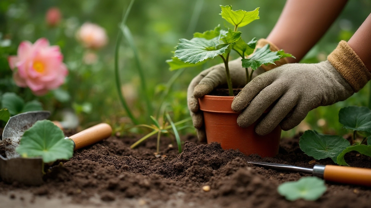 Pruning and Cutting Tools