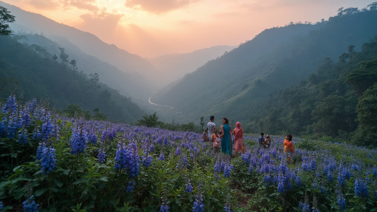 Most Rare Plant in India: The Curious Case of Neelakurinji