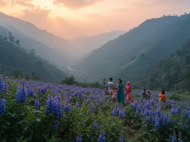 Most Rare Plant in India: The Curious Case of Neelakurinji