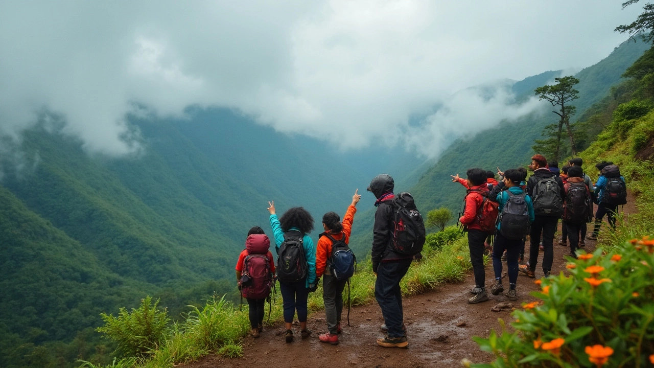 Tips for Spotting Neelakurinji in the Wild