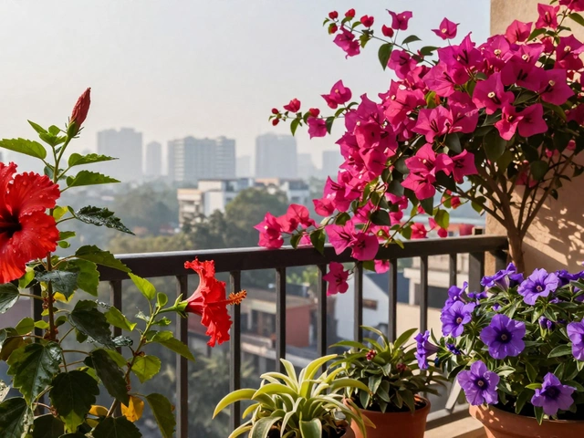 Which Plants Bloom All Year Round in India?