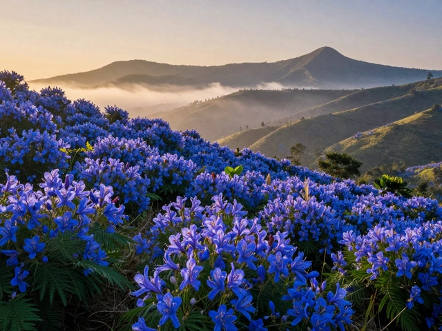 Which Flower is Only Found in India? A Complete Guide to Endemic Blooms