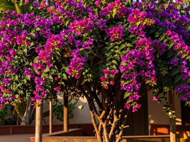 Fastest Growing Climbing Plants in India: Top Picks for Quick Green Walls