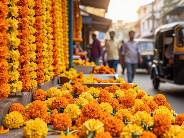 The Marigold: Why It Is India's Most Popular Flower and How to Grow It